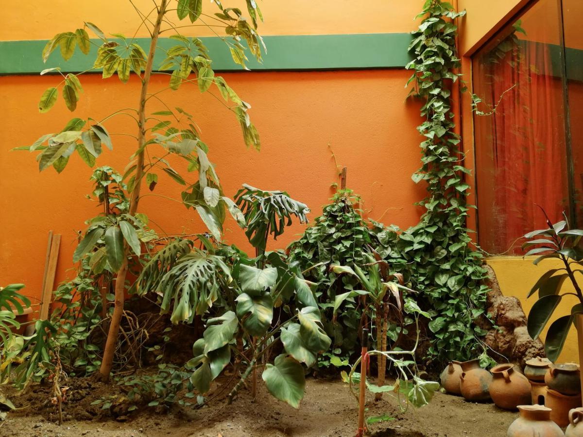 Olas Del Titicaca Backpackers Hostel Copacabana  Luaran gambar